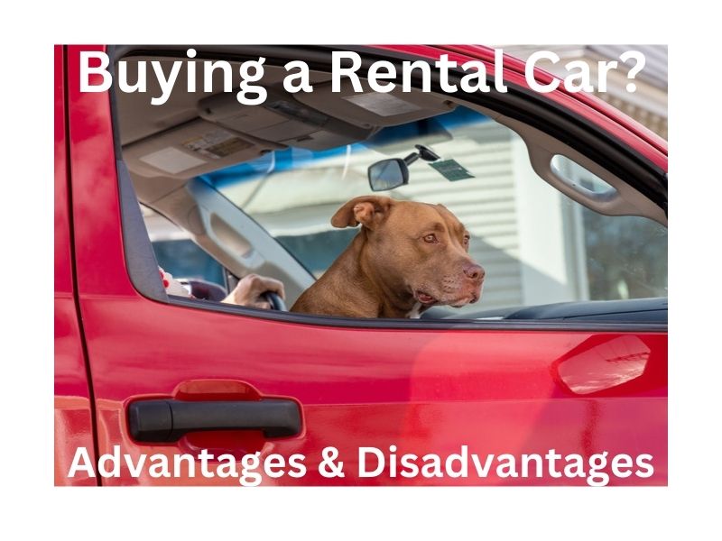 buying a rental car pros and cons